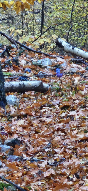 Zdjęcie 4 przedstawia problem zgłoszony w tym alercie