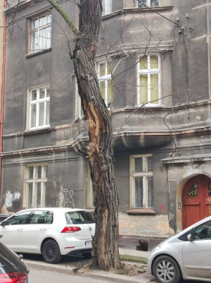Zdjęcie 2 przedstawia problem zgłoszony w tym alercie