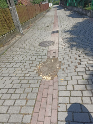 Zdjęcie 1 przedstawia problem zgłoszony w tym alercie