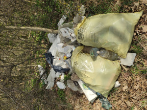 Zdjęcie 2 przedstawia problem zgłoszony w tym alercie