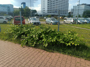 Zdjęcie 3 przedstawia problem zgłoszony w tym alercie