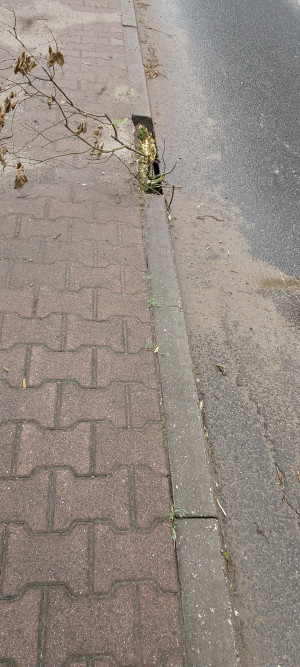 Zdjęcie 3 przedstawia problem zgłoszony w tym alercie