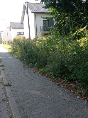 Zdjęcie 5 przedstawia problem zgłoszony w tym alercie