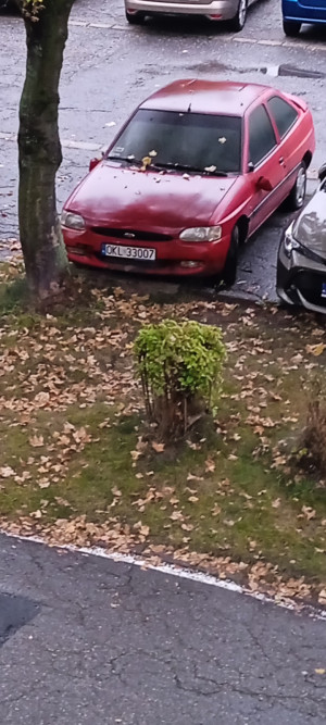 Zdjęcie 1 przedstawia problem zgłoszony w tym alercie