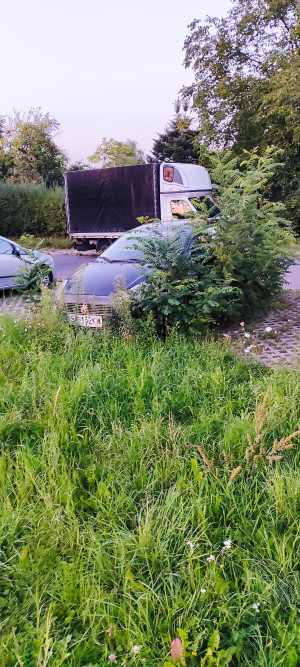 Zdjęcie 1 przedstawia problem zgłoszony w tym alercie