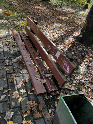 Zdjęcie 3 przedstawia problem zgłoszony w tym alercie