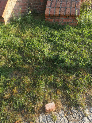 Zdjęcie 1 przedstawia problem zgłoszony w tym alercie