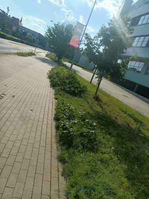 Zdjęcie 6 przedstawia problem zgłoszony w tym alercie