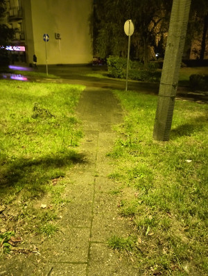 Zdjęcie 2 przedstawia problem zgłoszony w tym alercie