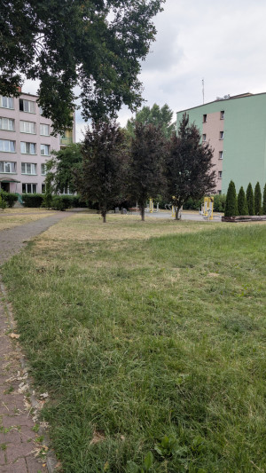 Zdjęcie 3 przedstawia problem zgłoszony w tym alercie