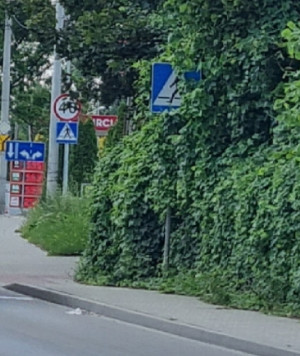 Zdjęcie 1 przedstawia problem zgłoszony w tym alercie