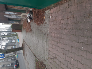 Zdjęcie 2 przedstawia problem zgłoszony w tym alercie