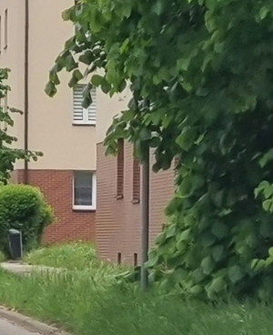 Zdjęcie 1 przedstawia problem zgłoszony w tym alercie
