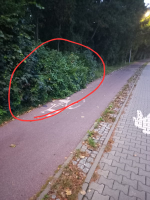 Zdjęcie 1 przedstawia problem zgłoszony w tym alercie