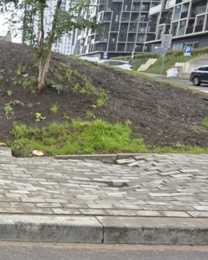 Zdjęcie 2 przedstawia problem zgłoszony w tym alercie