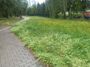 Zdjęcie 5 przedstawia problem zgłoszony w tym alercie