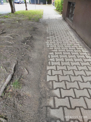 Zdjęcie 1 przedstawia problem zgłoszony w tym alercie