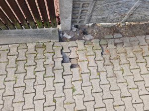 Zdjęcie 3 przedstawia problem zgłoszony w tym alercie