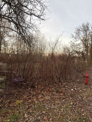 Zdjęcie 3 przedstawia problem zgłoszony w tym alercie