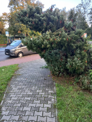 Zdjęcie 1 przedstawia problem zgłoszony w tym alercie