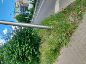 Zdjęcie 2 przedstawia problem zgłoszony w tym alercie