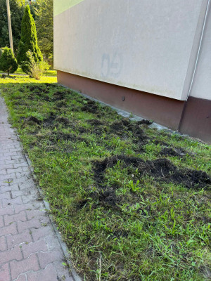 Zdjęcie 2 przedstawia problem zgłoszony w tym alercie