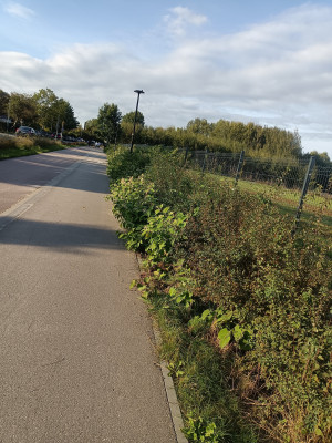 Zdjęcie 1 przedstawia problem zgłoszony w tym alercie