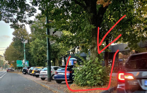Zdjęcie 1 przedstawia problem zgłoszony w tym alercie