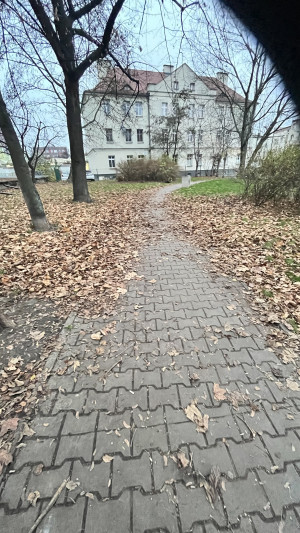 Zdjęcie 5 przedstawia problem zgłoszony w tym alercie