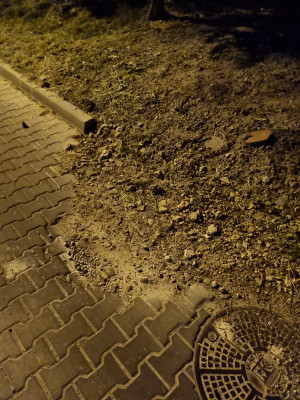Zdjęcie 2 przedstawia problem zgłoszony w tym alercie