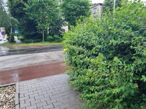 Zdjęcie 1 przedstawia problem zgłoszony w tym alercie