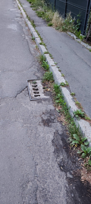 Zdjęcie 1 przedstawia problem zgłoszony w tym alercie