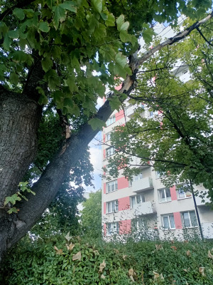 Zdjęcie 1 przedstawia problem zgłoszony w tym alercie