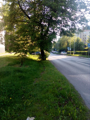 Zdjęcie 2 przedstawia problem zgłoszony w tym alercie