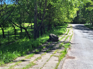Zdjęcie 1 przedstawia problem zgłoszony w tym alercie
