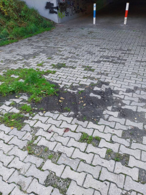 Zdjęcie 2 przedstawia problem zgłoszony w tym alercie