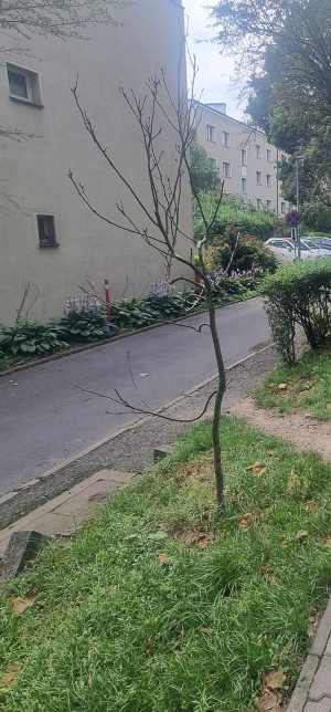 Zdjęcie 1 przedstawia problem zgłoszony w tym alercie