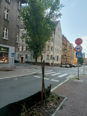 Zdjęcie 2 przedstawia problem zgłoszony w tym alercie