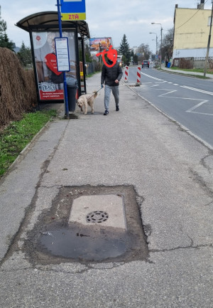 Zdjęcie 1 przedstawia problem zgłoszony w tym alercie