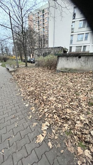 Zdjęcie 2 przedstawia problem zgłoszony w tym alercie