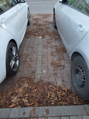 Zdjęcie 2 przedstawia problem zgłoszony w tym alercie