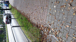 Zdjęcie 3 przedstawia problem zgłoszony w tym alercie