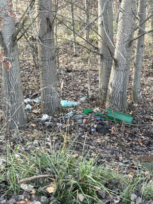 Zdjęcie 2 przedstawia problem zgłoszony w tym alercie