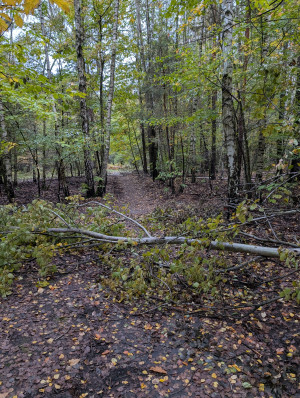 Zdjęcie 1 przedstawia problem zgłoszony w tym alercie