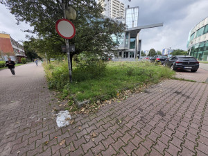 Zdjęcie 1 przedstawia problem zgłoszony w tym alercie