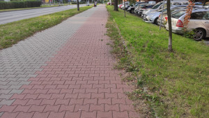 Zdjęcie 3 przedstawia problem zgłoszony w tym alercie