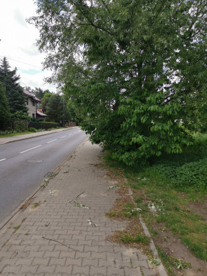 Zdjęcie 1 przedstawia problem zgłoszony w tym alercie