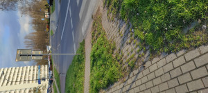 Zdjęcie 2 przedstawia problem zgłoszony w tym alercie