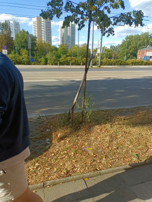 Zdjęcie 1 przedstawia problem zgłoszony w tym alercie