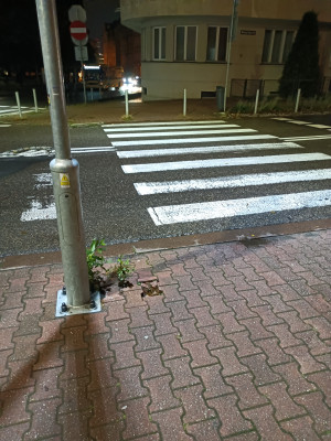 Zdjęcie 1 przedstawia problem zgłoszony w tym alercie